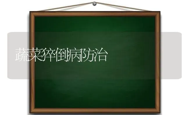 蔬菜猝倒病防治 | 蔬菜种植