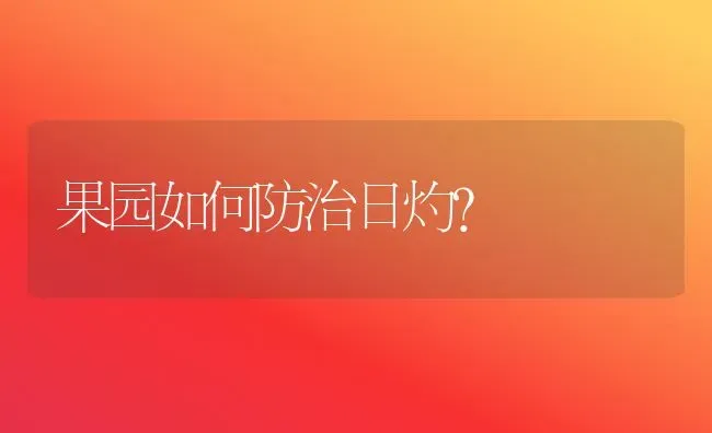 果园如何防治日灼？ | 瓜果种植