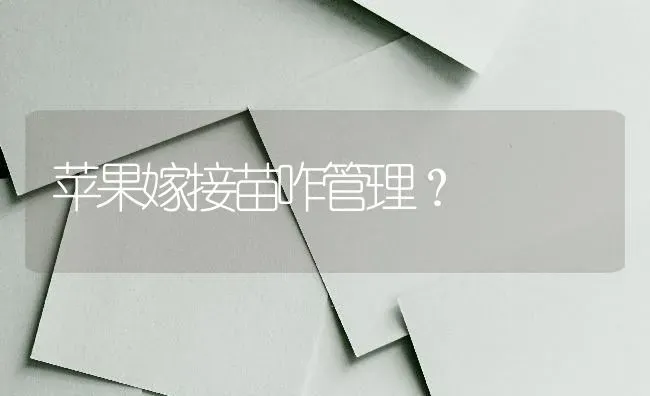 苹果嫁接苗咋管理？ | 瓜果种植