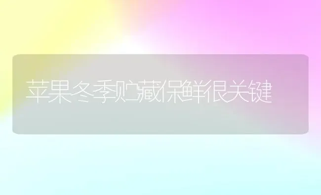 苹果冬季贮藏保鲜很关键 | 瓜果种植