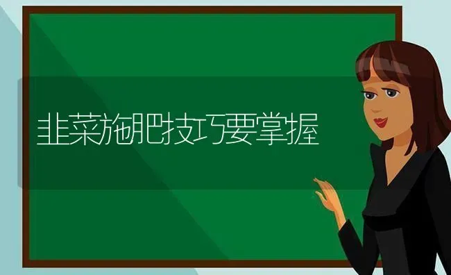 韭菜施肥技巧要掌握 | 种植肥料施肥