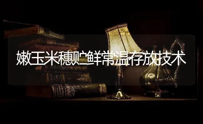 嫩玉米穗贮鲜常温存放技术 | 粮油作物种植