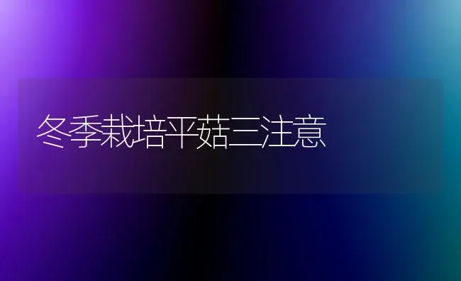 冬季栽培平菇三注意 | 食用菌种植