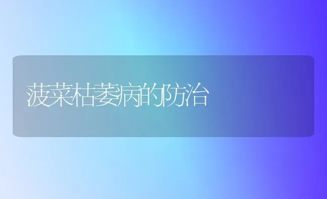 菠菜枯萎病的防治 | 蔬菜种植