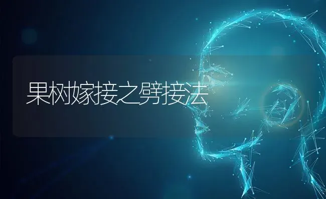 果树嫁接之劈接法 | 瓜果种植