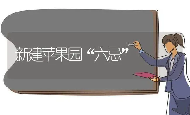 新建苹果园“六忌” | 瓜果种植