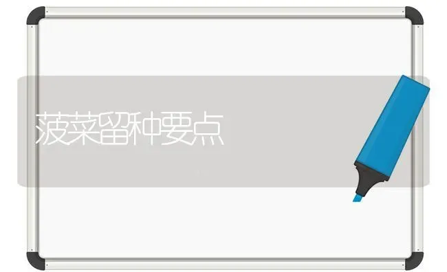 菠菜留种要点 | 蔬菜种植