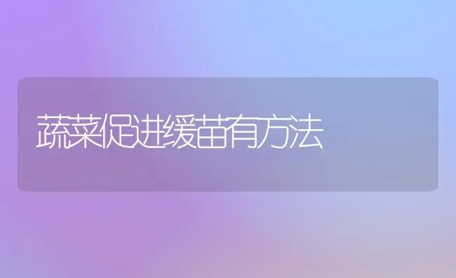 蔬菜促进缓苗有方法 | 蔬菜种植