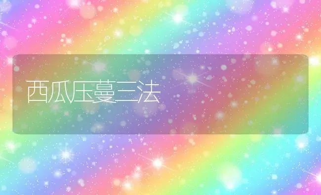 西瓜压蔓三法 | 瓜果种植