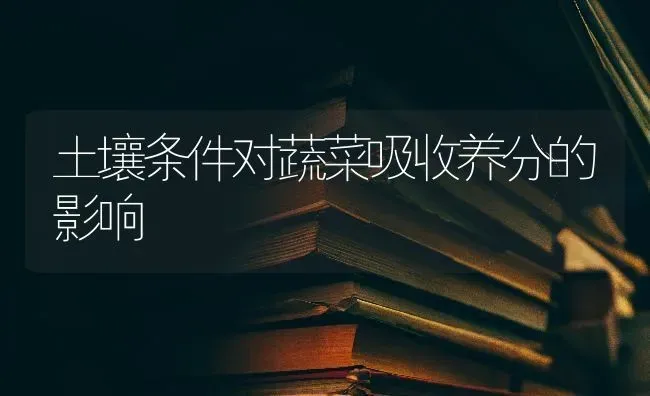 土壤条件对蔬菜吸收养分的影响 | 蔬菜种植