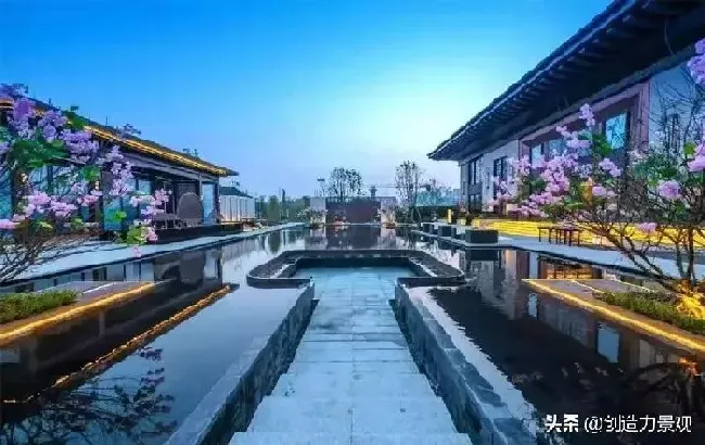 庭院摆放|自家院子里种什么树好（从风水的角度庭院里种什么树好）