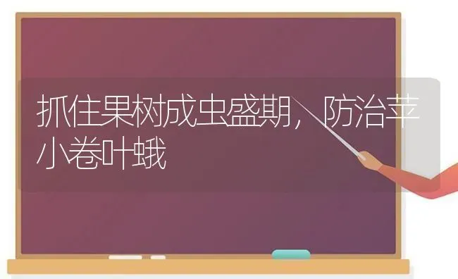 抓住果树成虫盛期，防治苹小卷叶蛾 | 瓜果种植