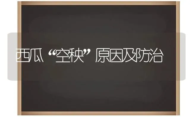 西瓜“空秧”原因及防治 | 瓜果种植