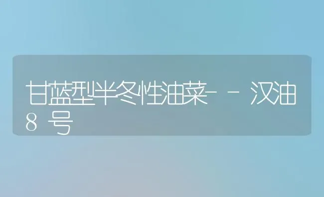 甘蓝型半冬性油菜--汉油8号 | 粮油作物种植