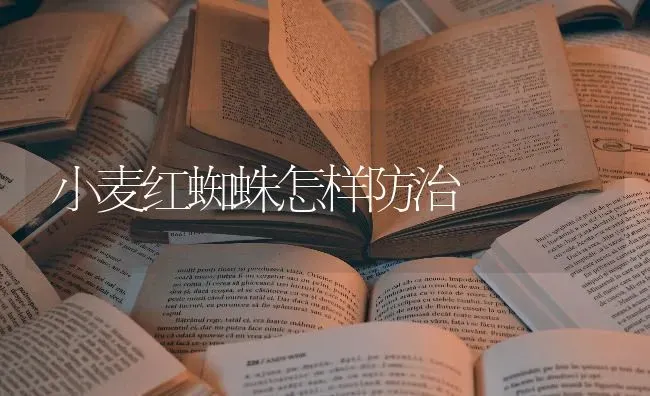 小麦红蜘蛛怎样防治 | 粮油作物种植