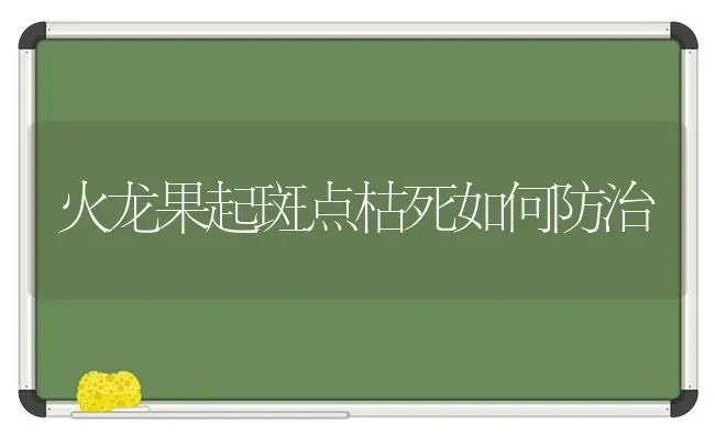 火龙果起斑点枯死如何防治 | 瓜果种植