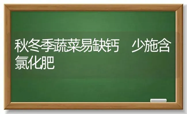 秋冬季蔬菜易缺钙　少施含氯化肥 | 蔬菜种植