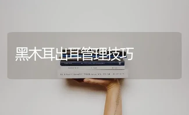 黑木耳出耳管理技巧 | 食用菌种植