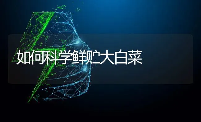 如何科学鲜贮大白菜 | 蔬菜种植