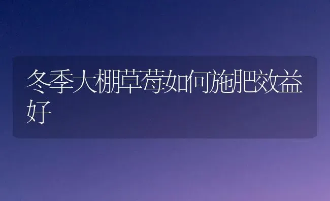 冬季大棚草莓如何施肥效益好 | 种植肥料施肥