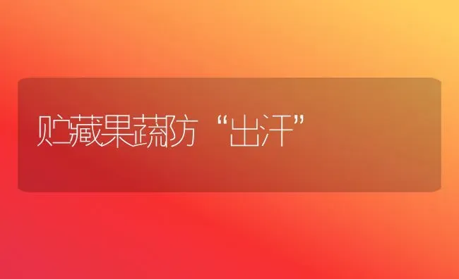 贮藏果蔬防“出汗” | 瓜果种植