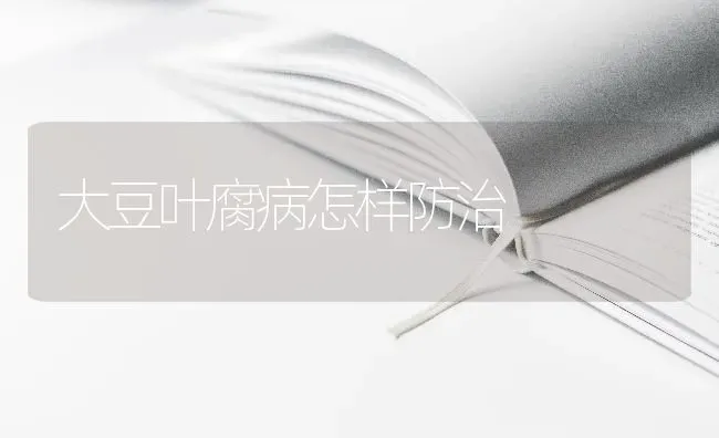 大豆叶腐病怎样防治 | 粮油作物种植