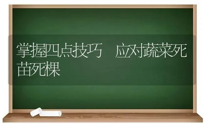 掌握四点技巧 应对蔬菜死苗死棵 | 蔬菜种植