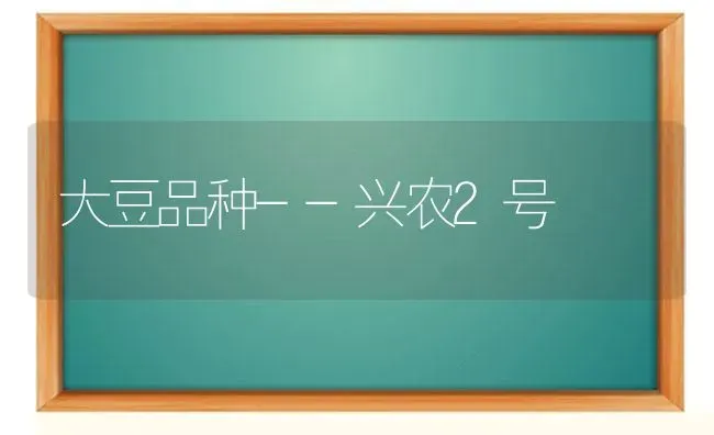 大豆品种--兴农2号 | 粮油作物种植