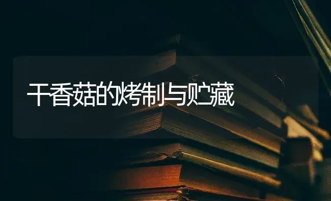 干香菇的烤制与贮藏 | 食用菌种植
