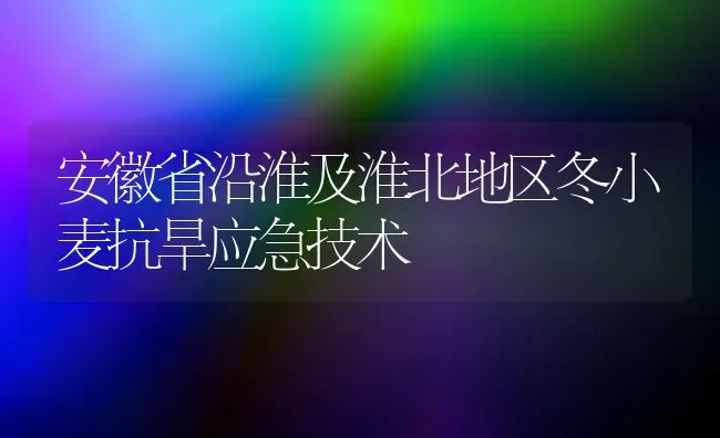 安徽省沿淮及淮北地区冬小麦抗旱应急技术 | 粮油作物种植