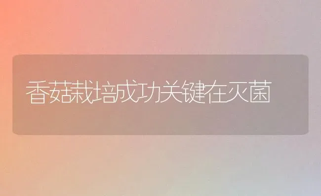 香菇栽培成功关键在灭菌 | 食用菌种植