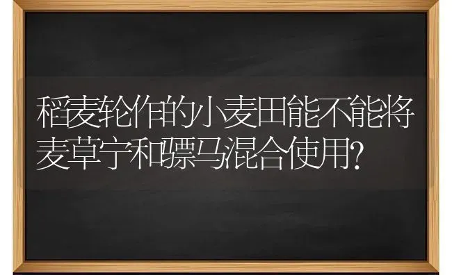 稻麦轮作的小麦田能不能将麦草宁和骠马混合使用？ | 粮油作物种植