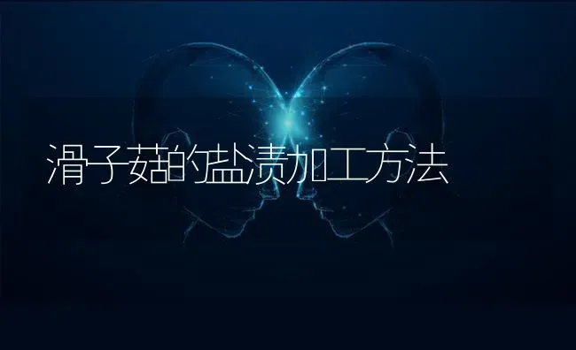 滑子菇的盐渍加工方法 | 食用菌种植