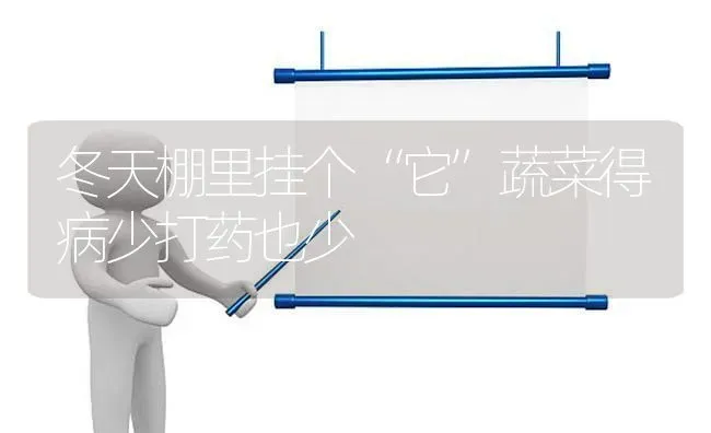冬天棚里挂个“它”蔬菜得病少打药也少 | 蔬菜种植