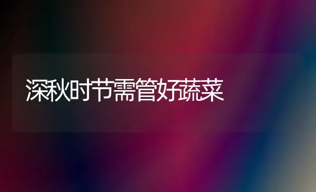 深秋时节需管好蔬菜 | 蔬菜种植