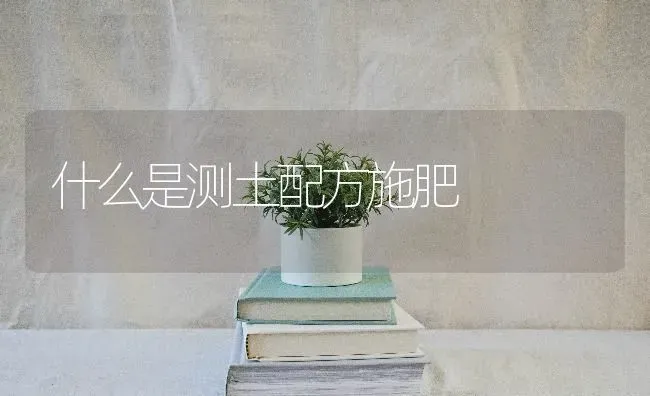 什么是测土配方施肥 | 种植肥料施肥