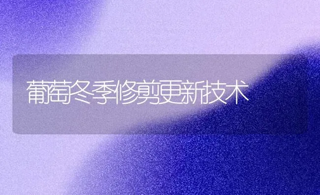葡萄冬季修剪更新技术 | 瓜果种植