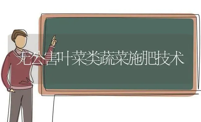 无公害叶菜类蔬菜施肥技术 | 蔬菜种植
