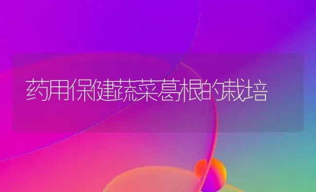 药用保健蔬菜葛根的栽培 | 蔬菜种植