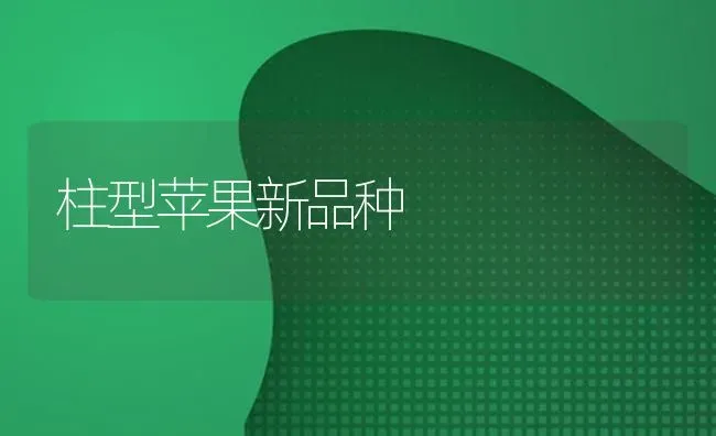 柱型苹果新品种 | 瓜果种植
