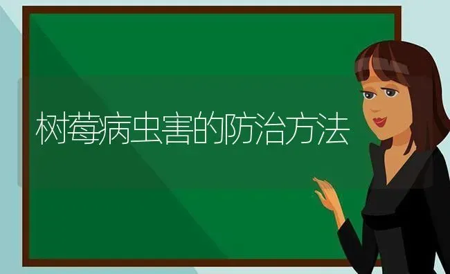 树莓病虫害的防治方法 | 种植病虫害防治