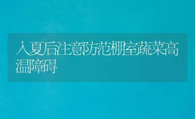 入夏后注意防范棚室蔬菜高温障碍 | 蔬菜种植