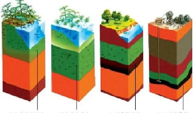 植物趣闻|科学家说煤炭由植物变成的 在什么过程中形成