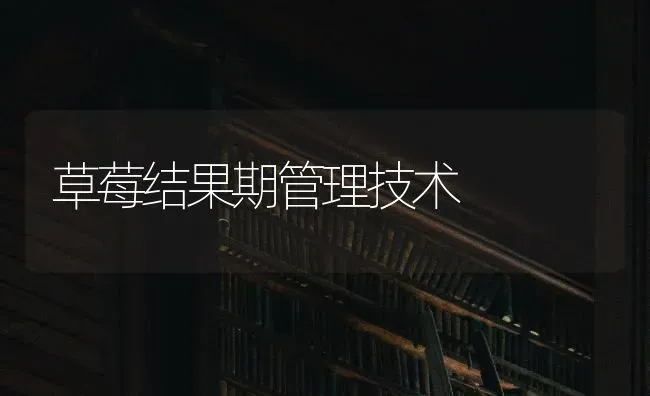 草莓结果期管理技术 | 瓜果种植