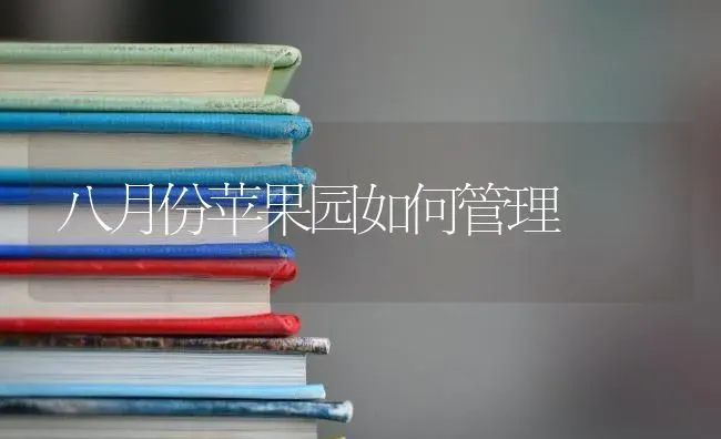 八月份苹果园如何管理 | 瓜果种植