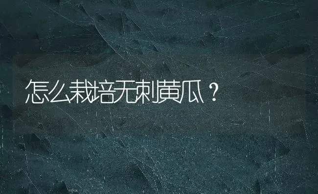 怎么栽培无刺黄瓜？ | 蔬菜种植