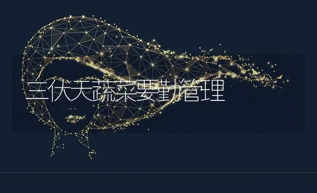 三伏天蔬菜要勤管理 | 蔬菜种植