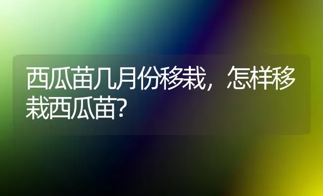 西瓜苗几月份移栽，怎样移栽西瓜苗？ | 瓜果种植