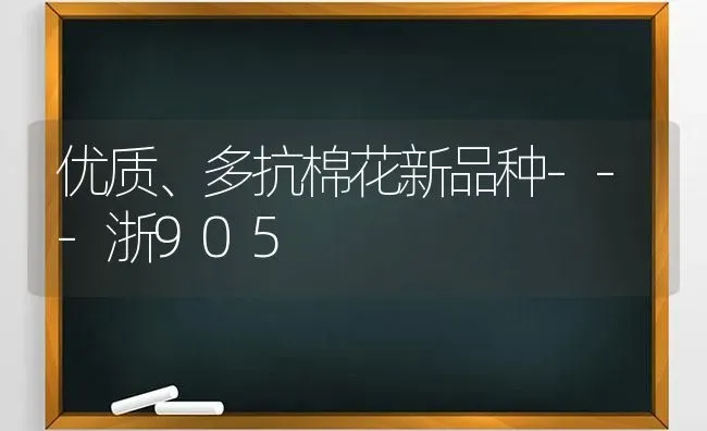 优质、多抗棉花新品种---浙905 | 粮油作物种植