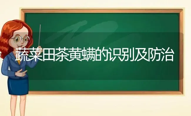 蔬菜田茶黄螨的识别及防治 | 蔬菜种植